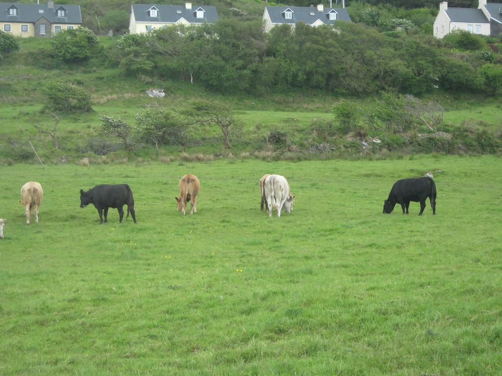 Iveragh Heights Cahersiveen Exterior foto